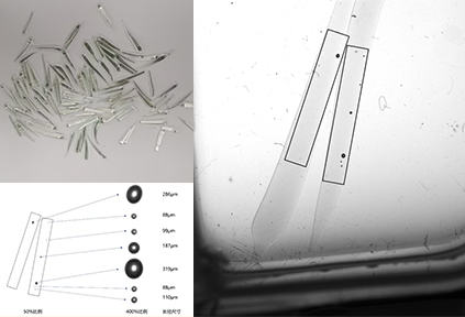 μm级视觉检测：玻璃珠内气泡尺寸测量及分类统计